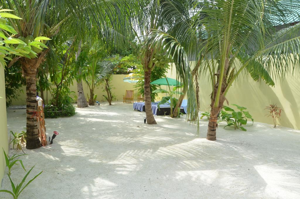 Whale Shark Inn Maamigili Extérieur photo
