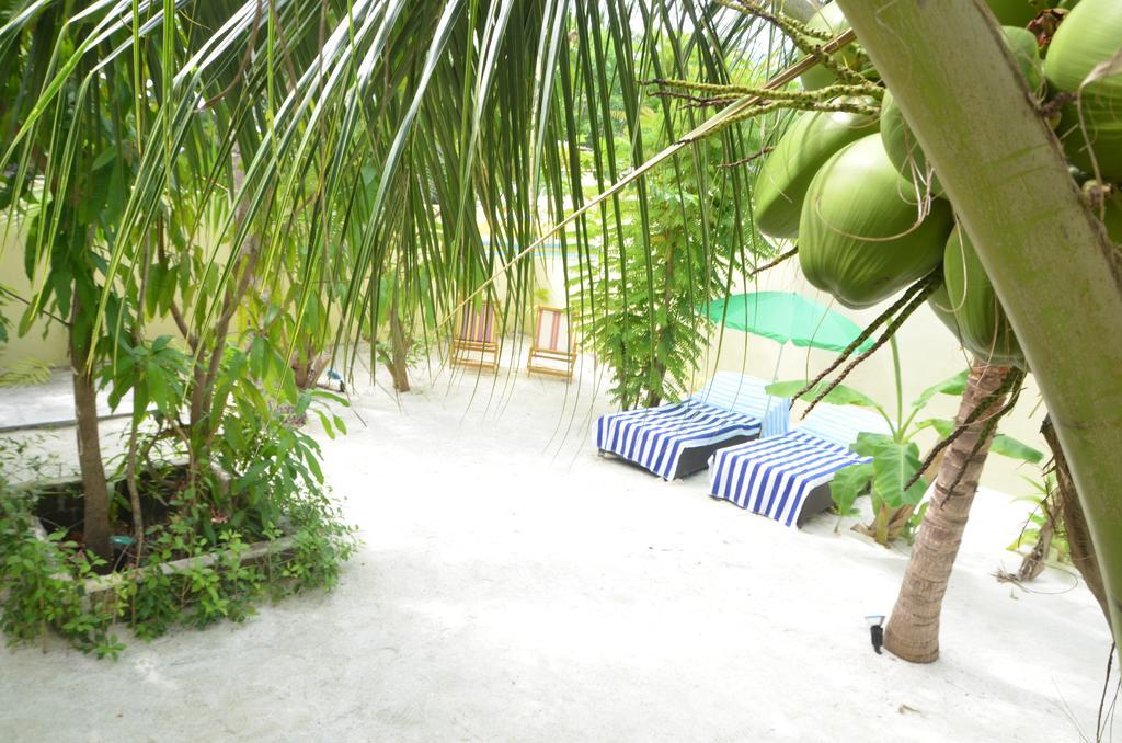 Whale Shark Inn Maamigili Extérieur photo