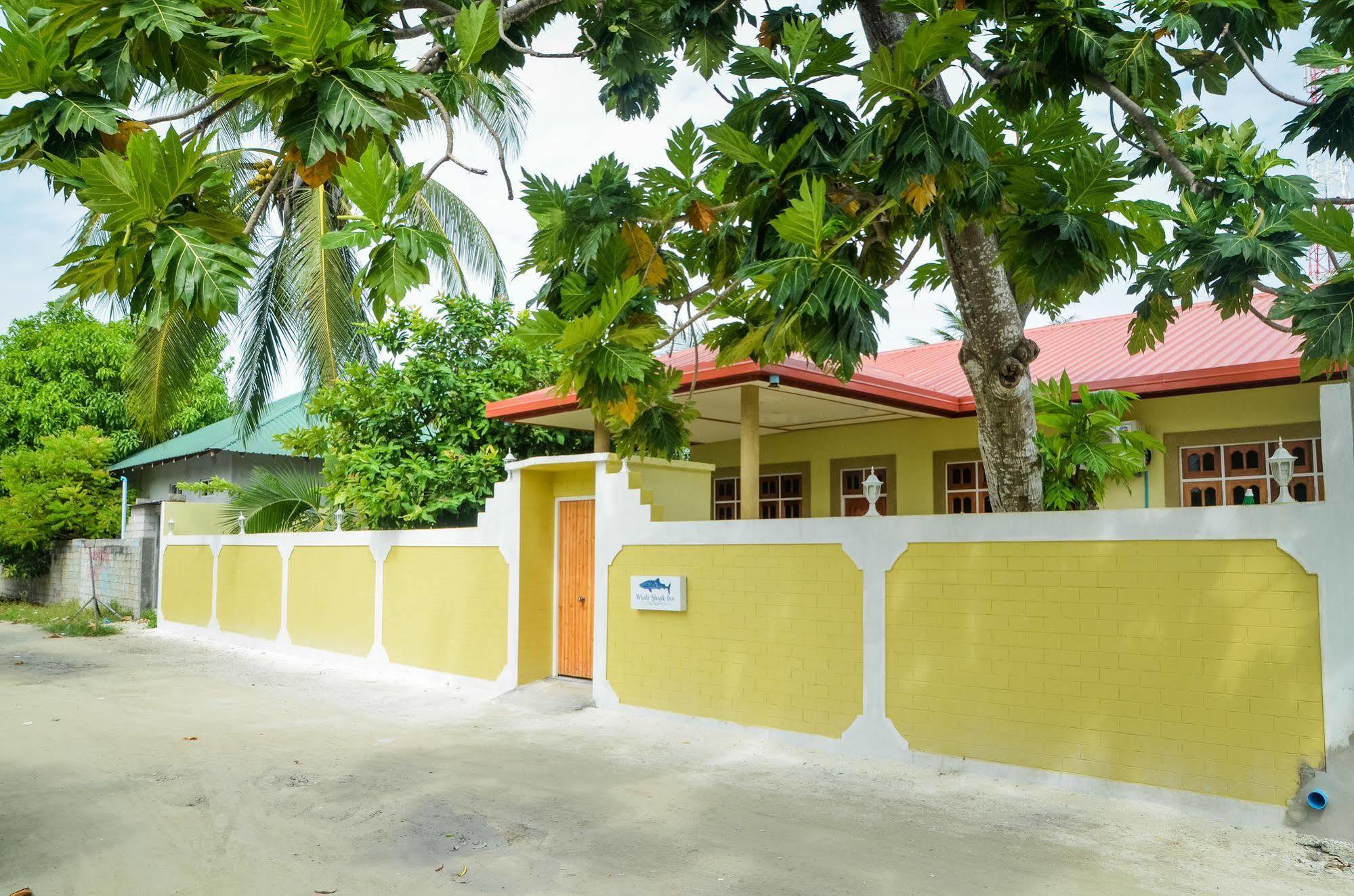 Whale Shark Inn Maamigili Extérieur photo
