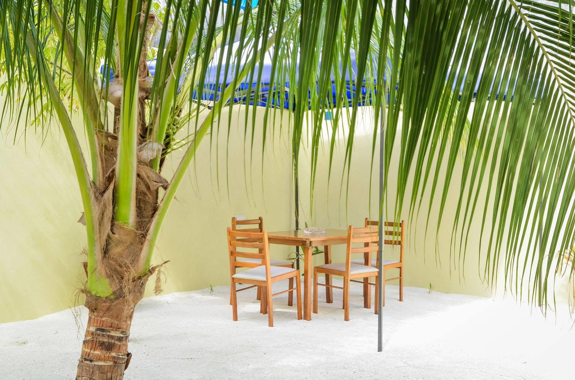 Whale Shark Inn Maamigili Extérieur photo