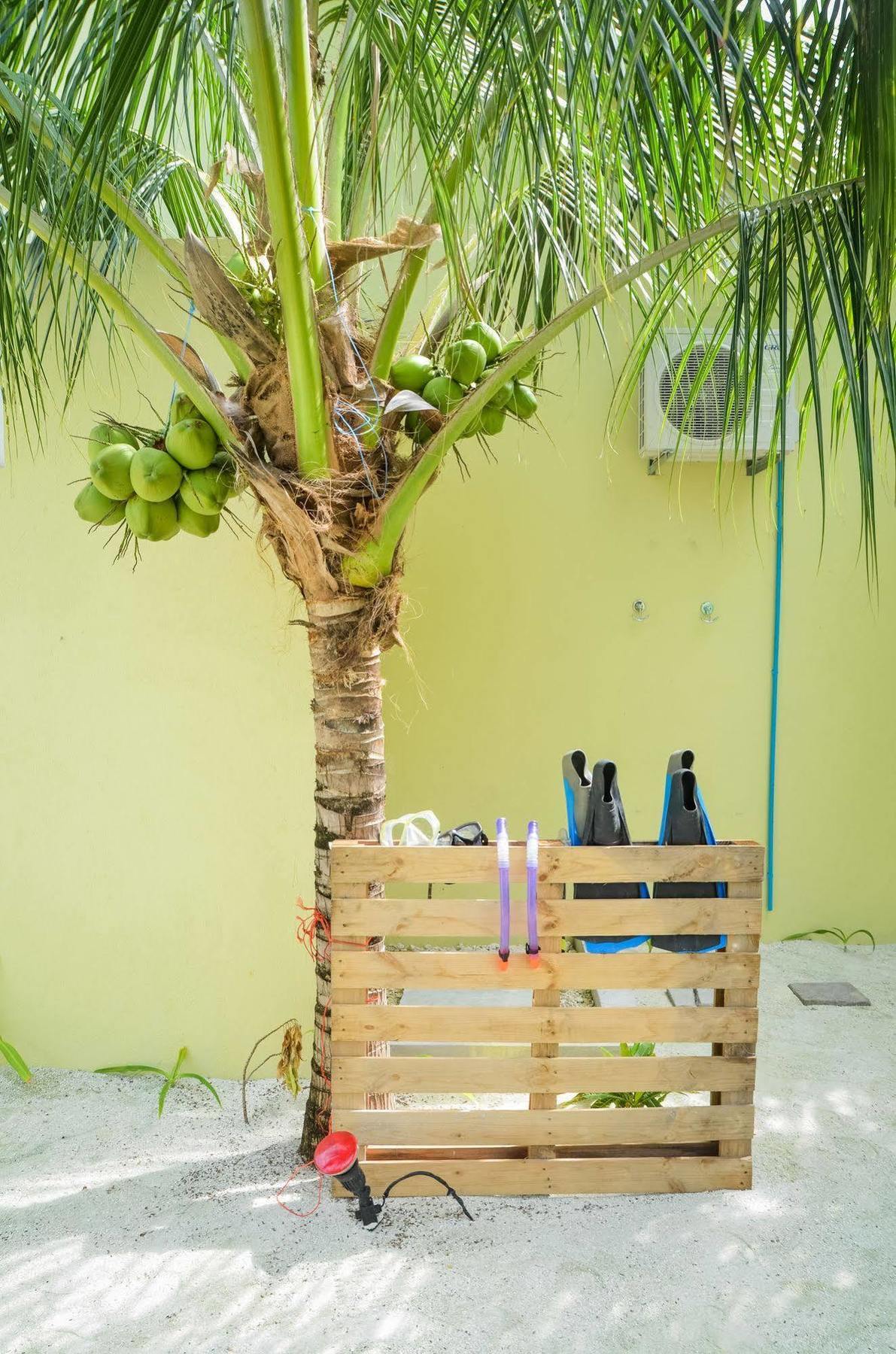 Whale Shark Inn Maamigili Extérieur photo